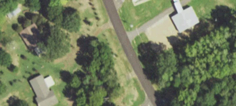 Timber Plantation Farmland