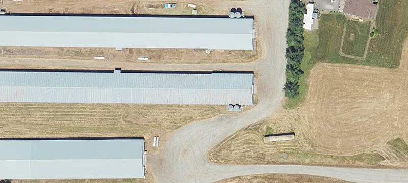 Income-Producing Poultry Farm
