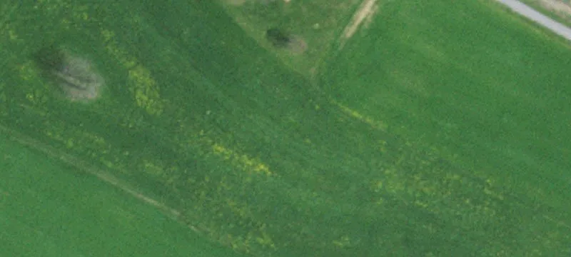 Farms