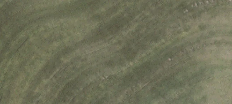 Farm Property with Mobile Home