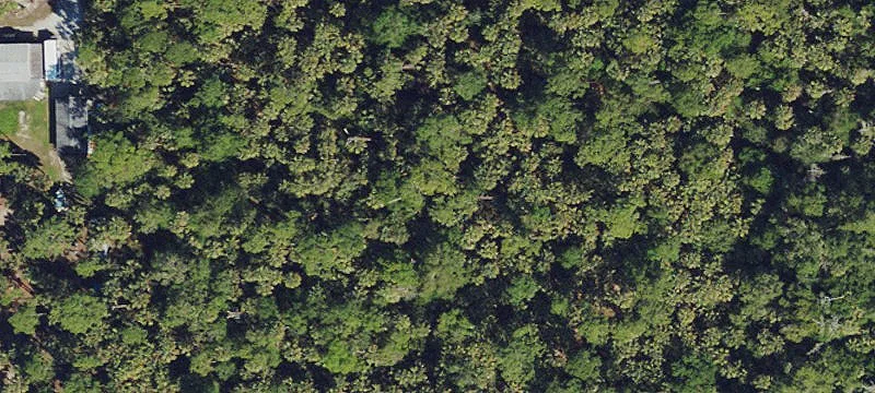 Land/Lot