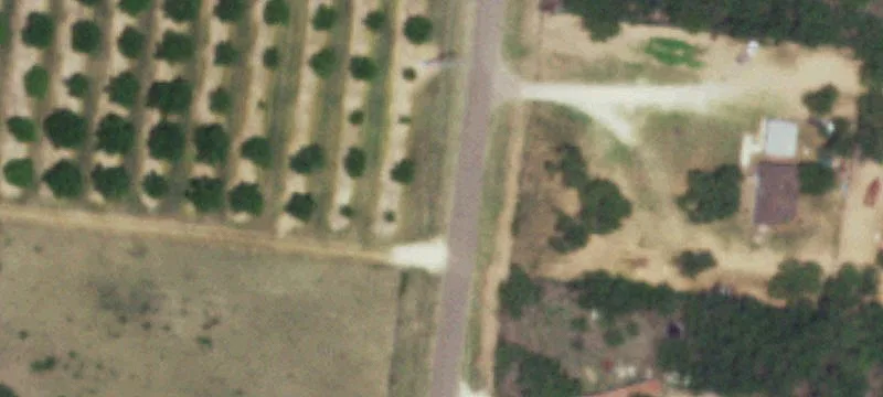 Established Pecan Orchard Farm