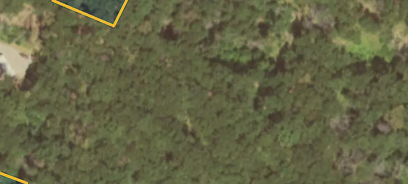 Land/Lot