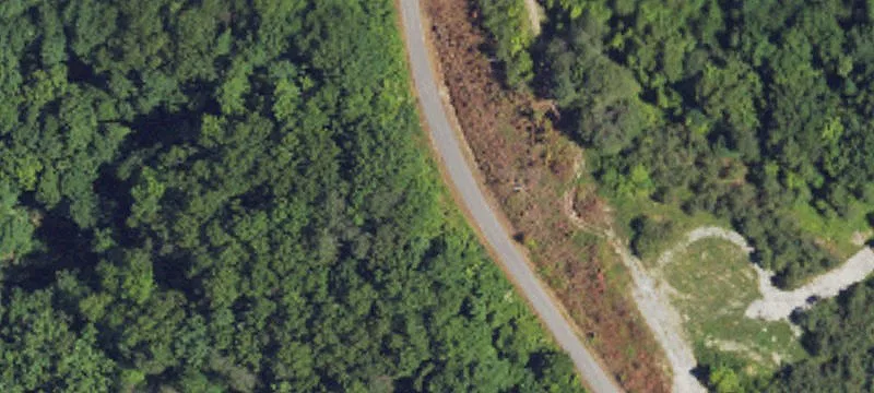 Wooded Hunting Land