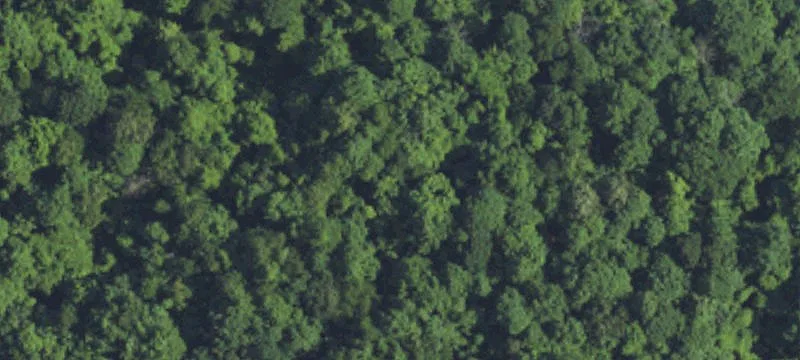 Mountain Hunting Land with Timber