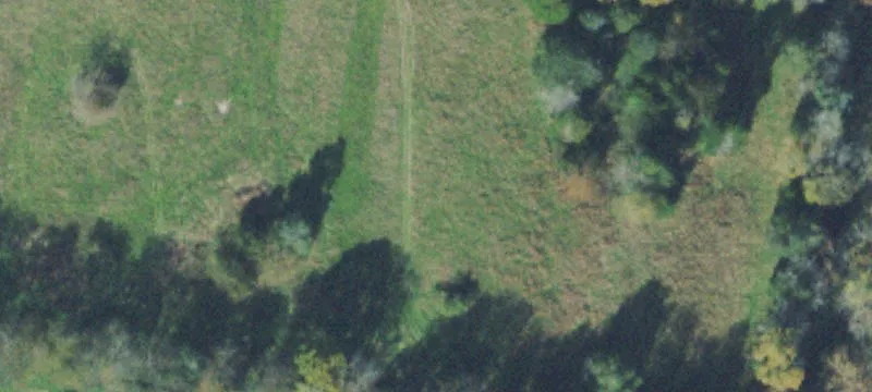 Farm Property with Creek