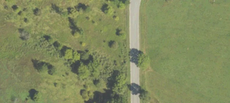 Wooded Hunting Land