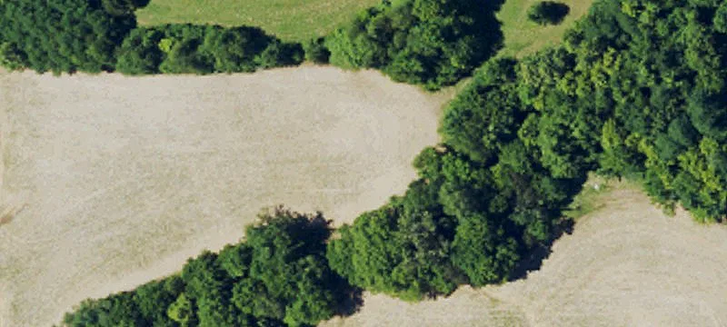 Land/Lot
