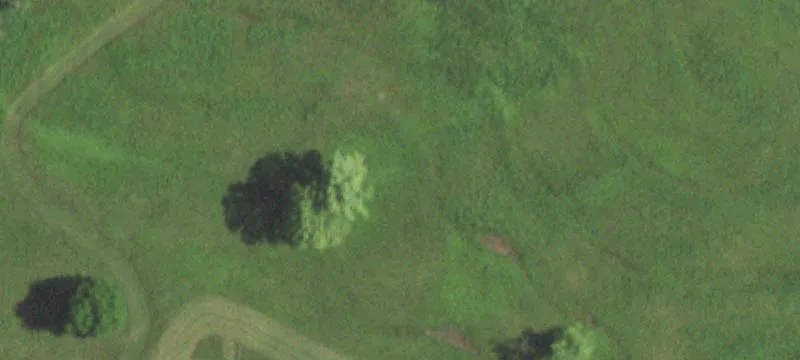 Pasture Farm With Natural Spring