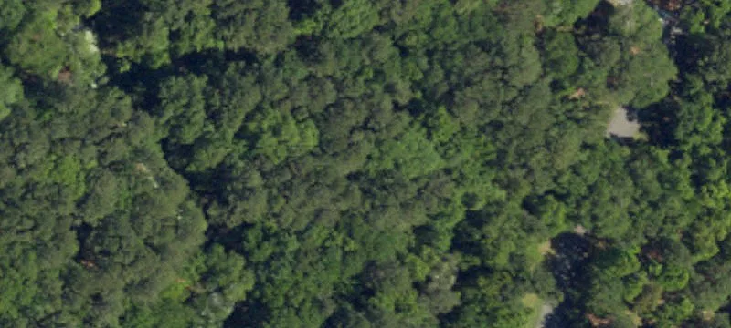 Land/Lot