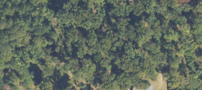 Land/Lot