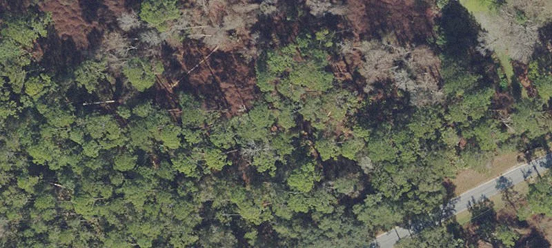 Land/Lot
