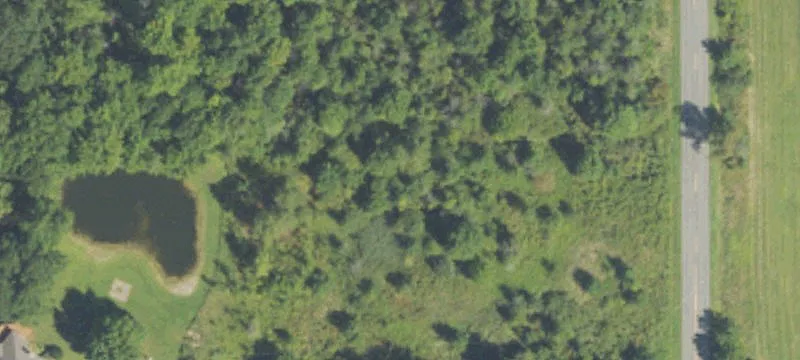 Wooded Land Parcel