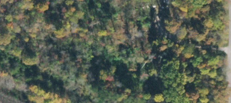 Wooded Land with Dual Frontage