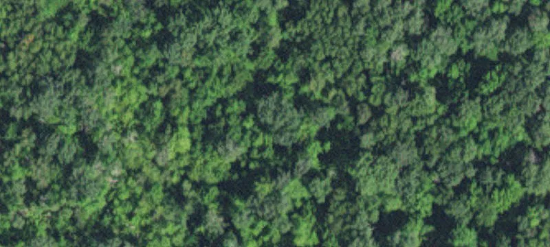 River-Backed Campground Lot