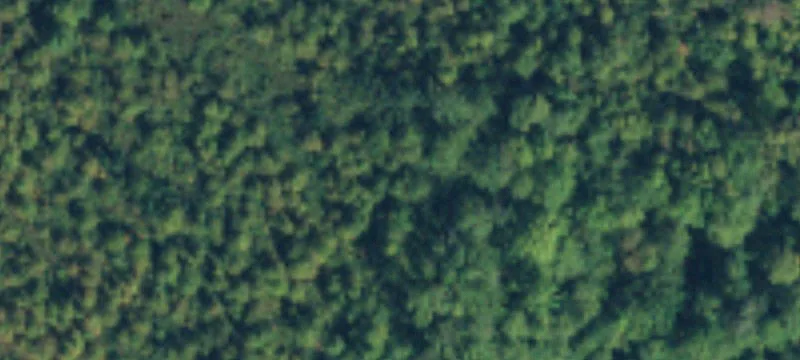 Vacant Land