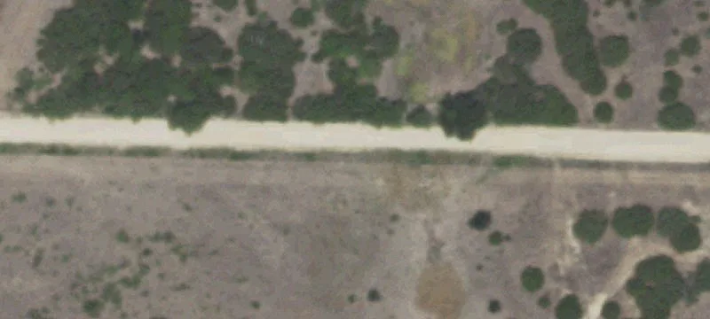 Unrestricted Wooded Hunting Land
