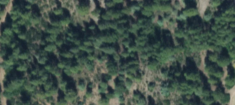 Lots/Land