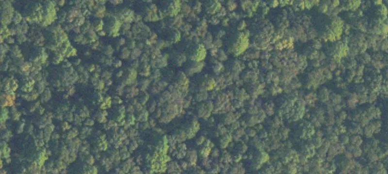 Corner Commercial Land Tract