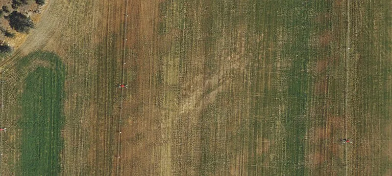 Irrigated Farm with Improvements