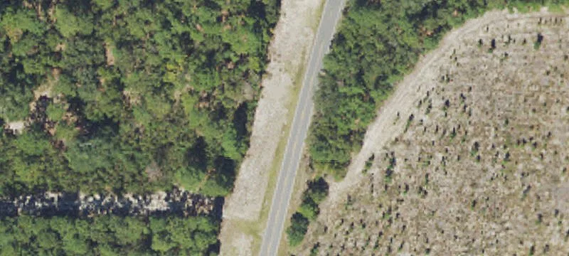Wooded Waterfront Land