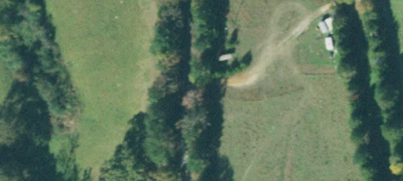 Agricultural Land with Pasture and Timber