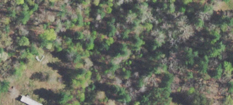 Agricultural Land with Stocked Pond