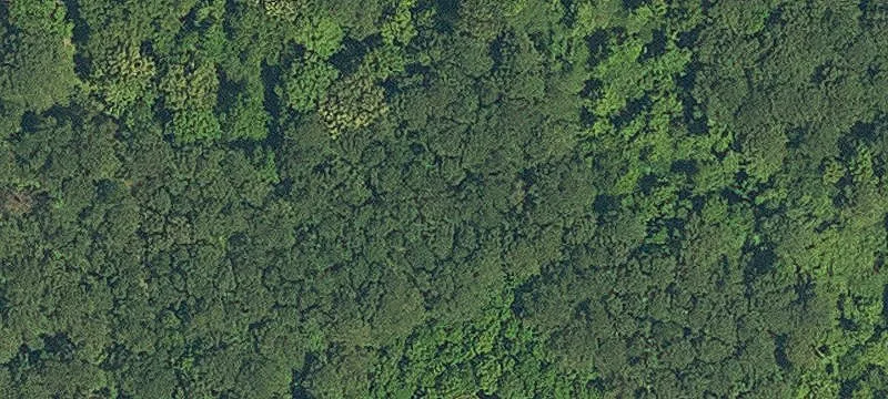 Wooded Agricultural Land