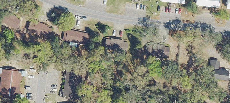 Two-Unit Duplex with Tree Setting