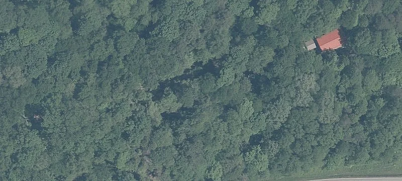 Wooded Resort with Five Cabins