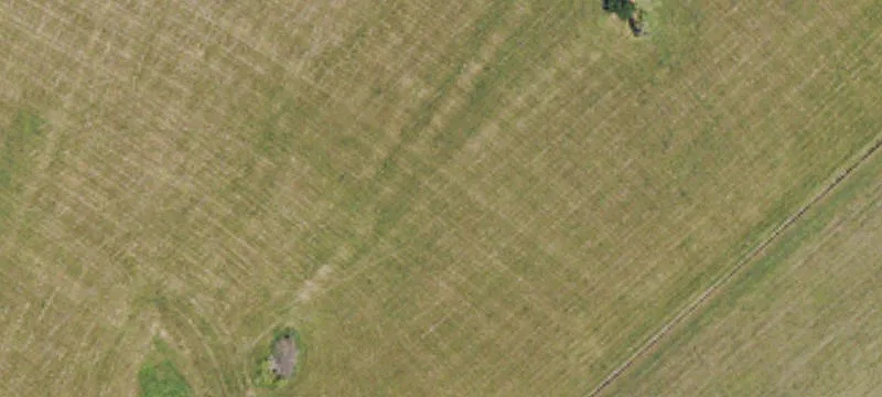 Historic Horse Farm with Four Barns