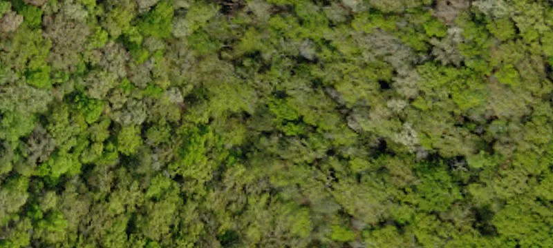00 Panther Park Trail, Travelers Rest, SC 29690