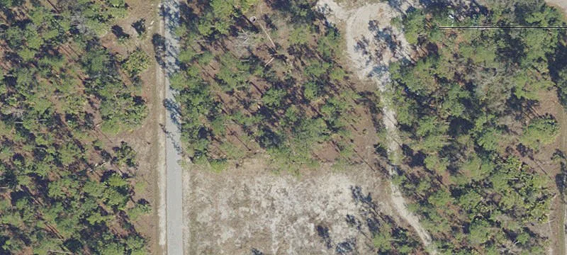 Land/Lot