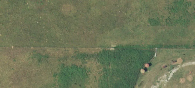 Wooded Hunting Land