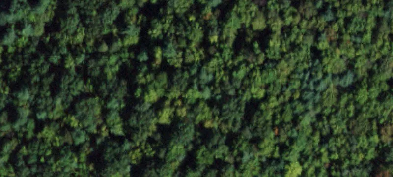 Unimproved Land