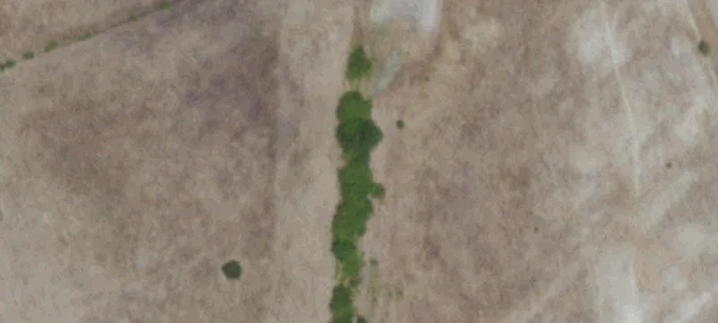 Farm