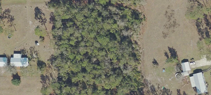 202 Tamarac Ct, Georgetown, FL 32139