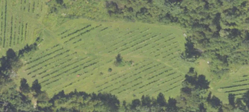 Vineyard and Winery Property