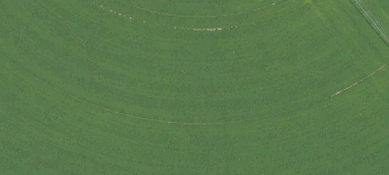 Irrigated Alfalfa Farm