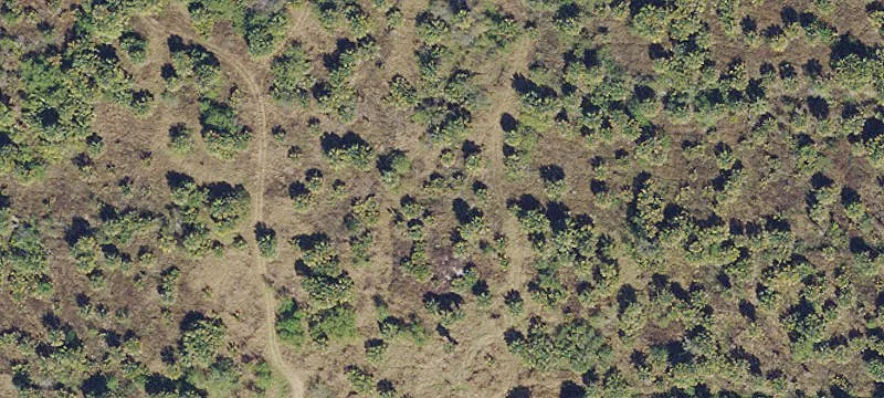 Build-to-Suit Land Parcel