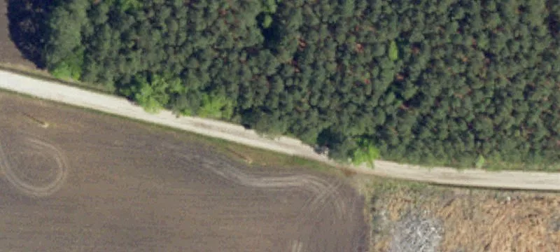 Cleared Agricultural Land