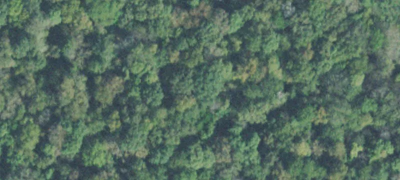 Vacant Land