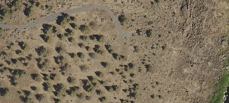 Land/Lot