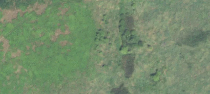 Wooded Land Parcel