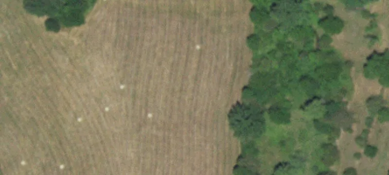 Remodeled Farm With Barn
