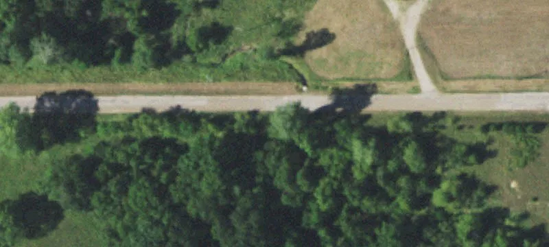 Wooded Hunting Land