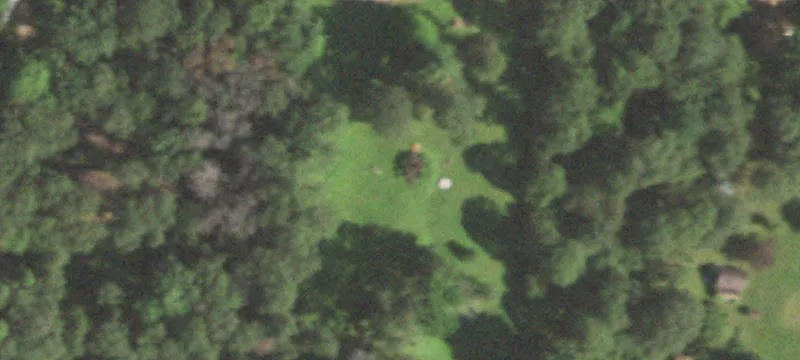 Wooded Hunting Land