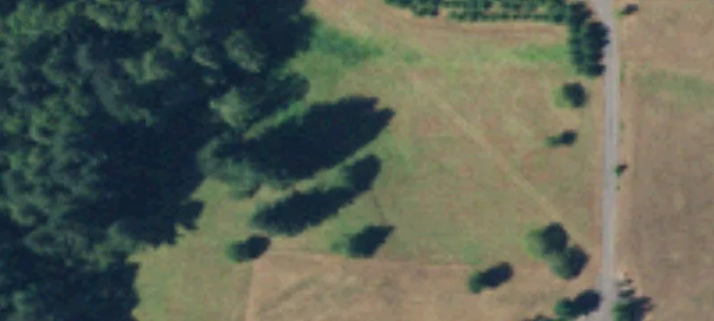 Land/Lot