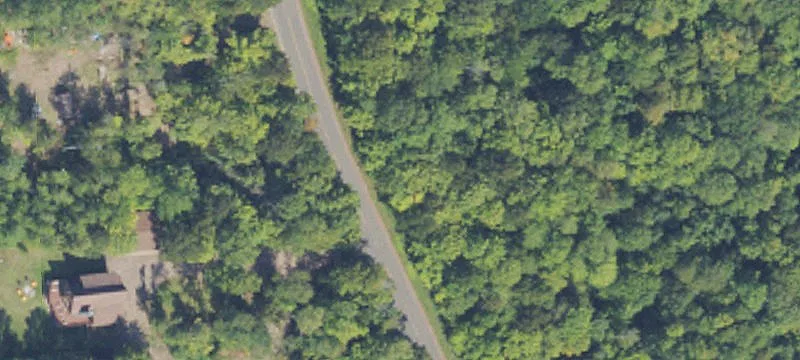 Wooded Recreational Land