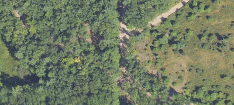 Hunting Land with Partial Clearing